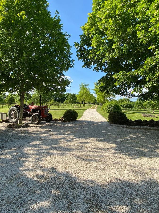 Gite Le Pigonnier Ecogite Le Luquet Saint Beauzeil 82150 Exterior photo